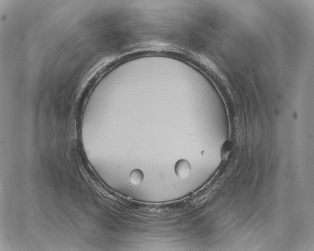 X0000062831318200602031527