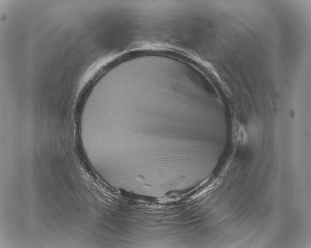 X0000062831319200602031527