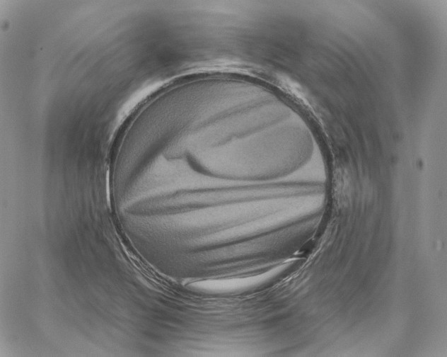 X0000062831320200602031527