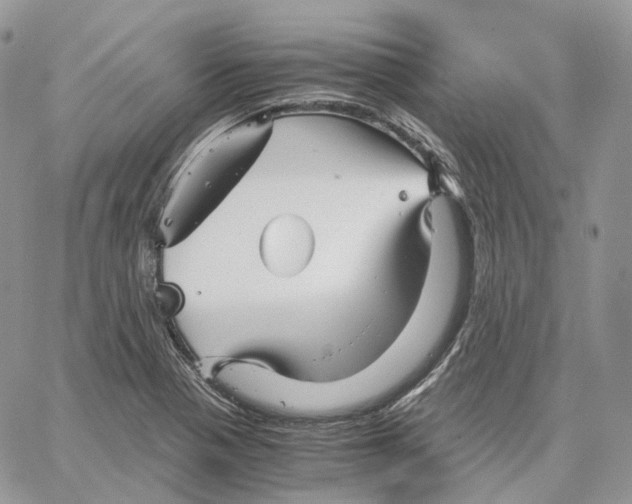 X0000062831321200602031527