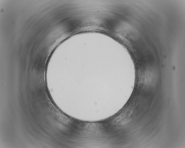 X0000062831322200602031527