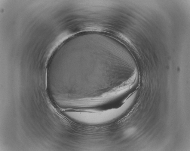 X0000062831323200602031527