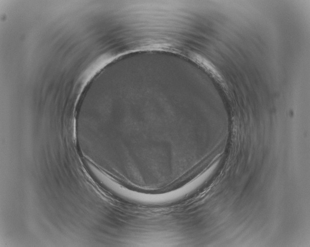 X0000062831324200602031527