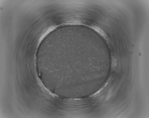 X0000062831325200602031527