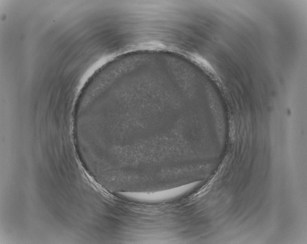 X0000062831326200602031527