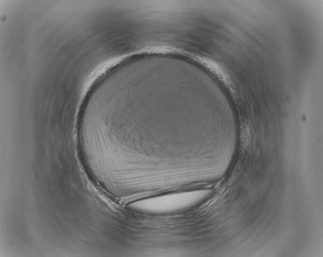 X0000062831327200602031527