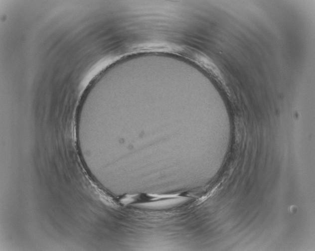 X0000062831328200602031527