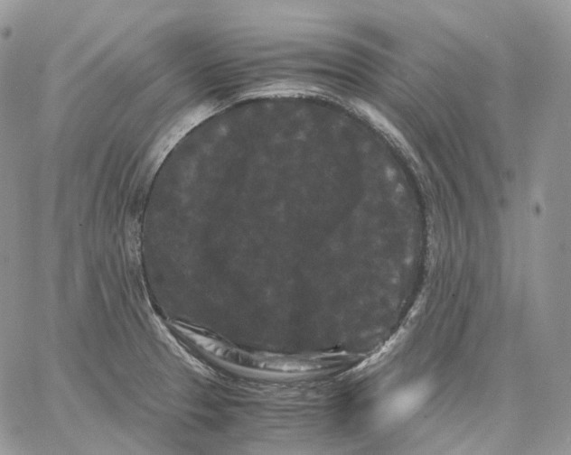 X0000062831329200602031527