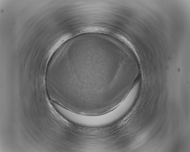 X0000062831330200602031527