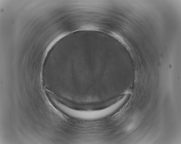 X0000062831331200602031527