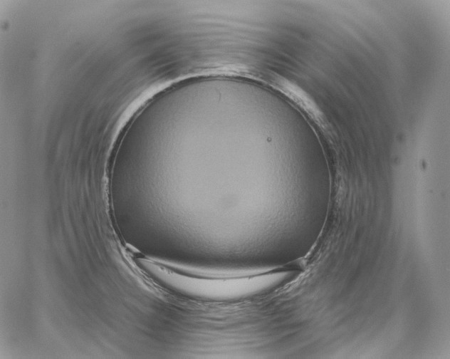 X0000062831332200602031527