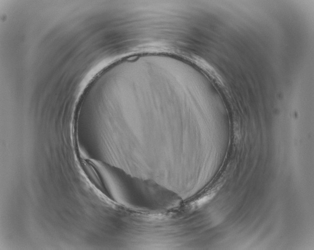 X0000062831334200602031527