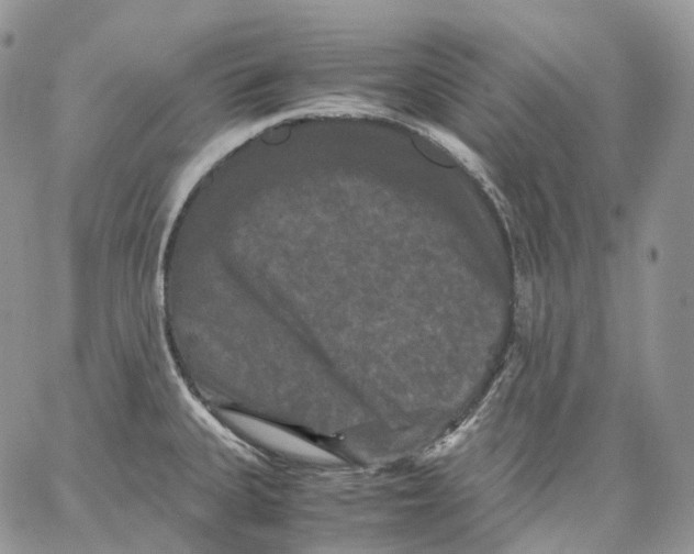 X0000062831335200602031527