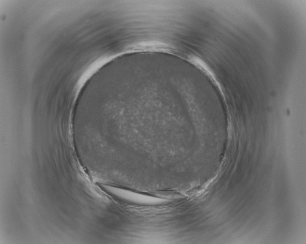 X0000062831336200602031527