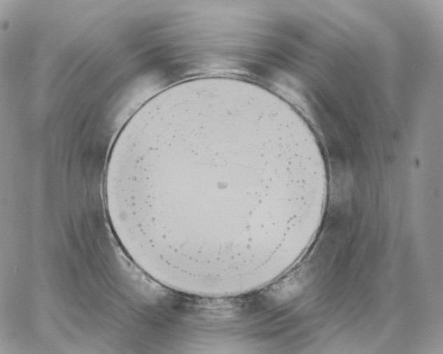 X0000062831338200602031527