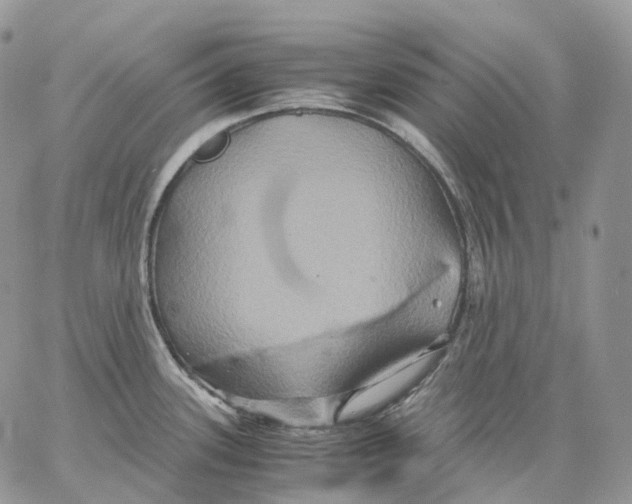 X0000062831339200602031527