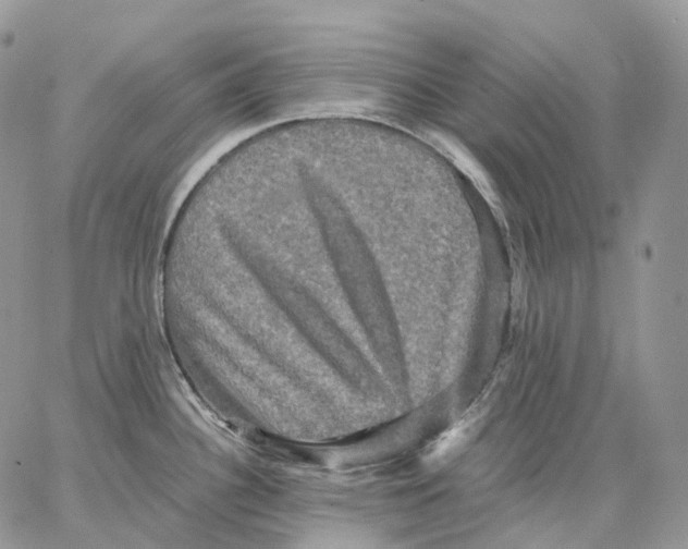 X0000062831340200602031527