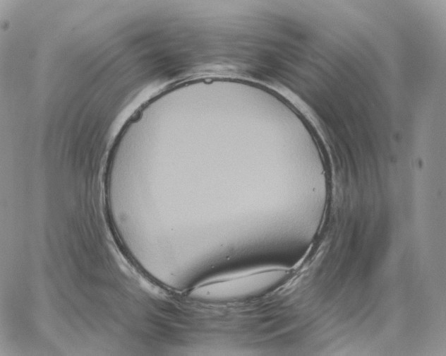 X0000062831341200602031527