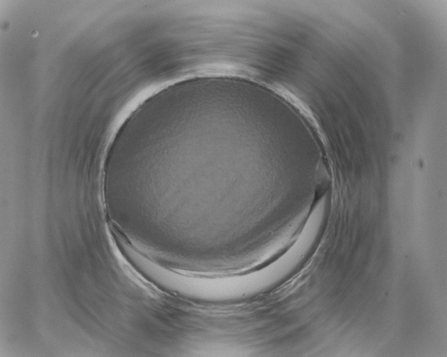 X0000062831342200602031527