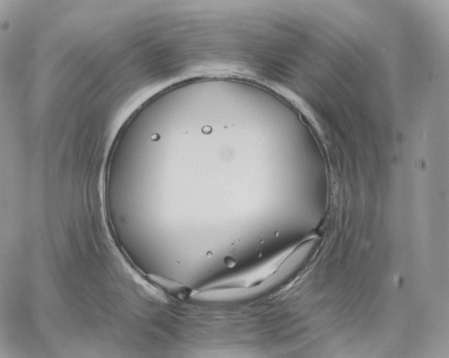 X0000062831343200602031528