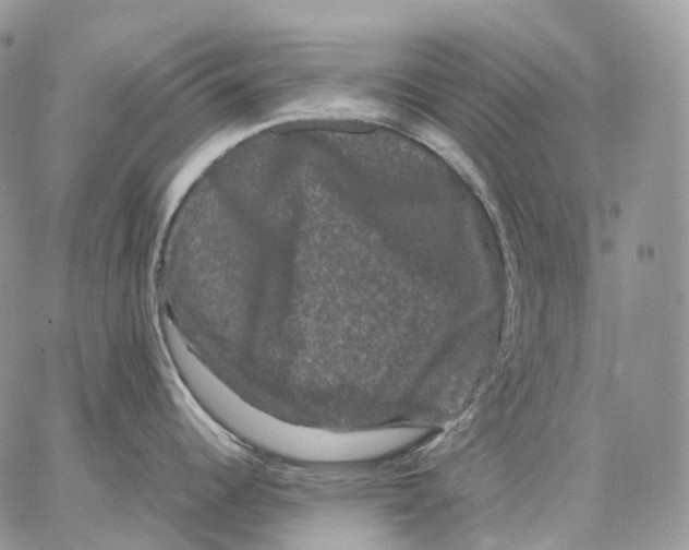 X0000062831344200602031528