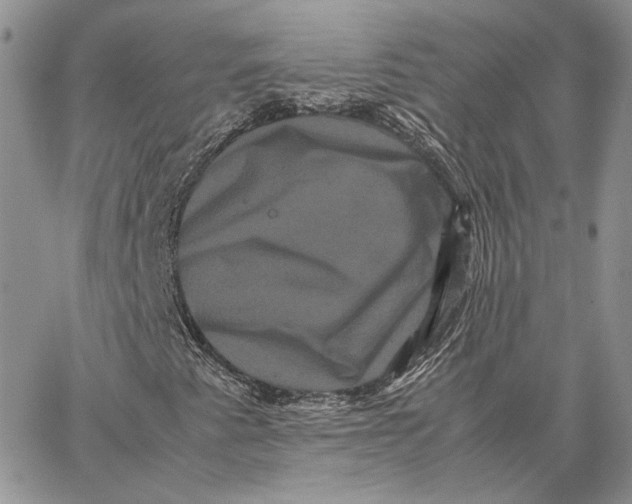 X0000062831345200602031527