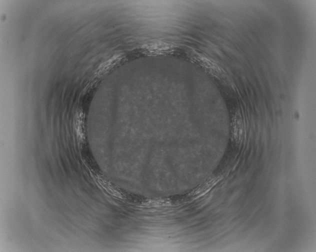 X0000062831346200602031527