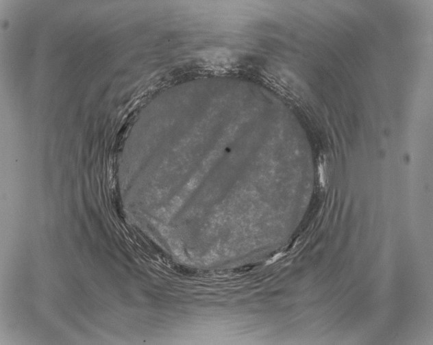 X0000062831347200602031527