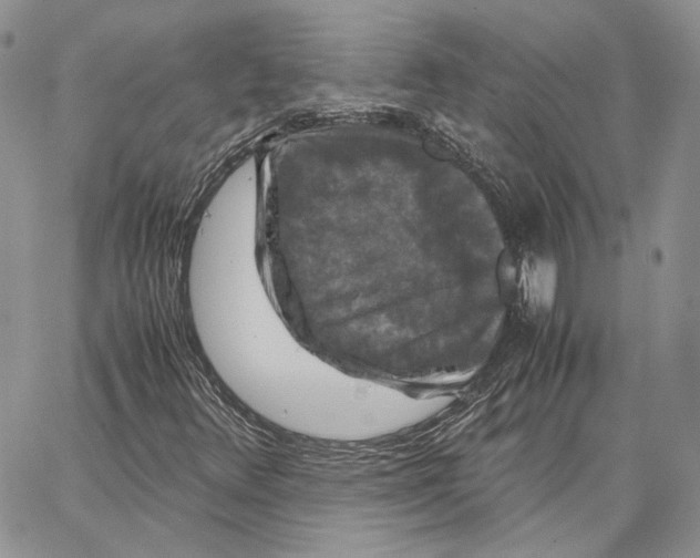 X0000062831348200602031527