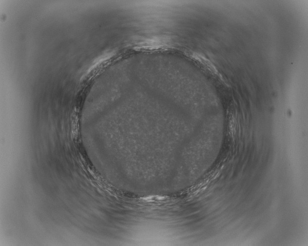 X0000062831350200602031527