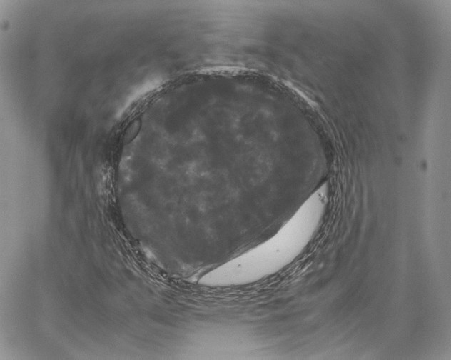 X0000062831351200602031527