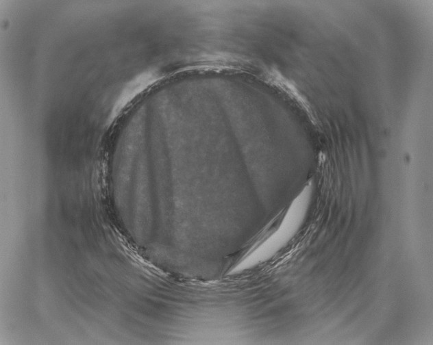 X0000062831352200602031527