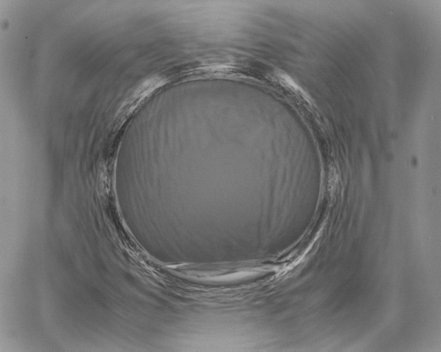 X0000062831353200602031527