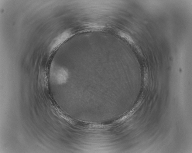 X0000062831354200602031527