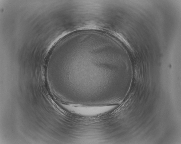 X0000062831356200602031527