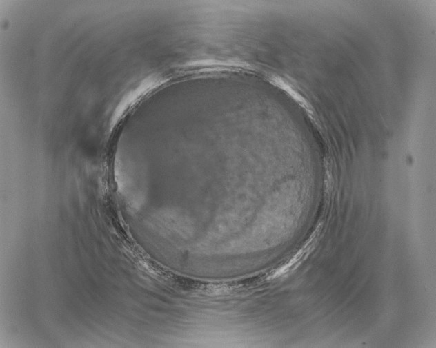 X0000062831357200602031527