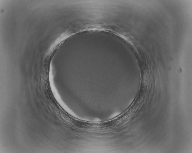 X0000062831359200602031527