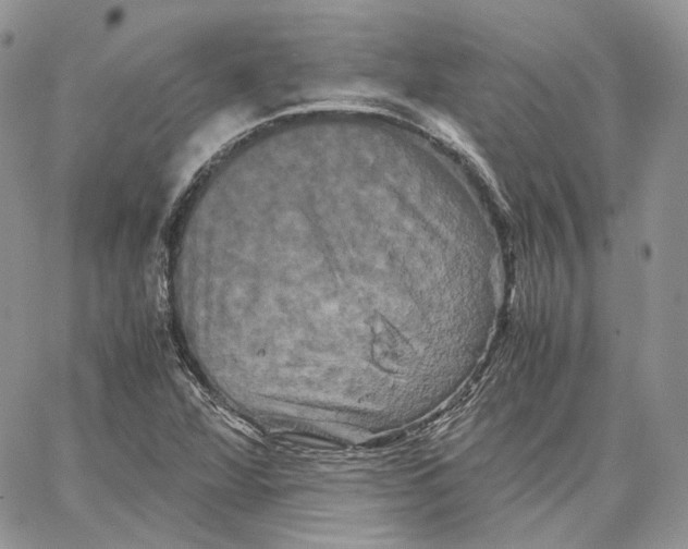 X0000062831360200602031527