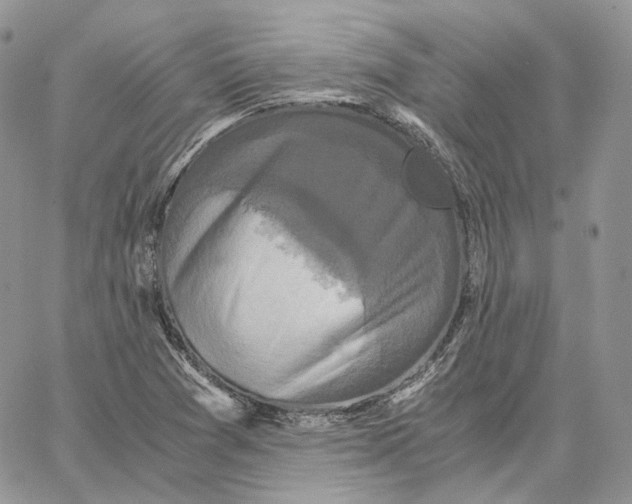 X0000062831361200602031526