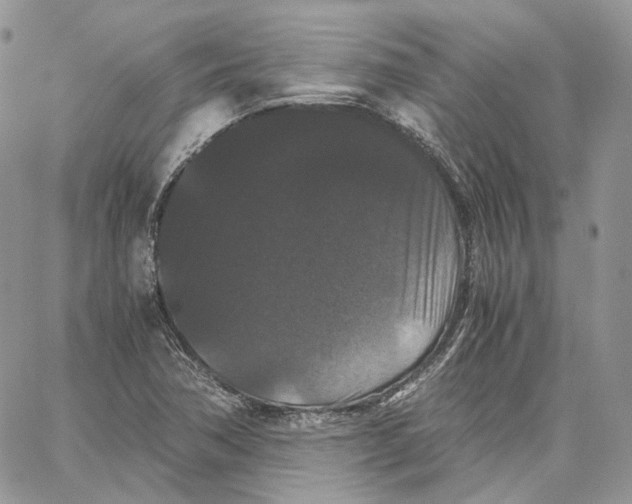 X0000062831362200602031526