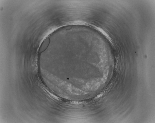 X0000062831364200602031526