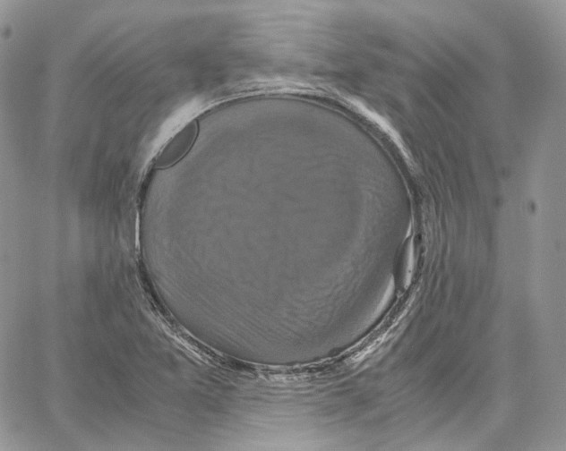 X0000062831365200602031526