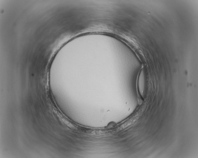 X0000062831366200602031526