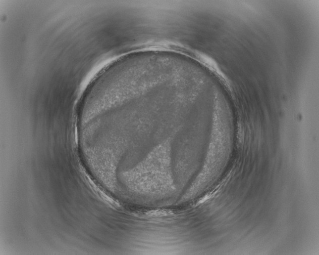 X0000062831368200602031526