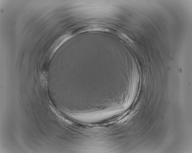 X0000062831369200602031526