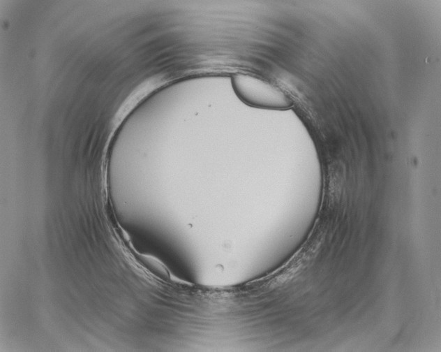 X0000062831370200602031526