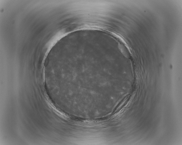 X0000062831371200602031526