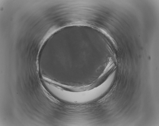 X0000062831372200602031526