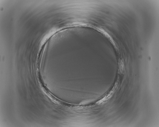 X0000062831373200602031526