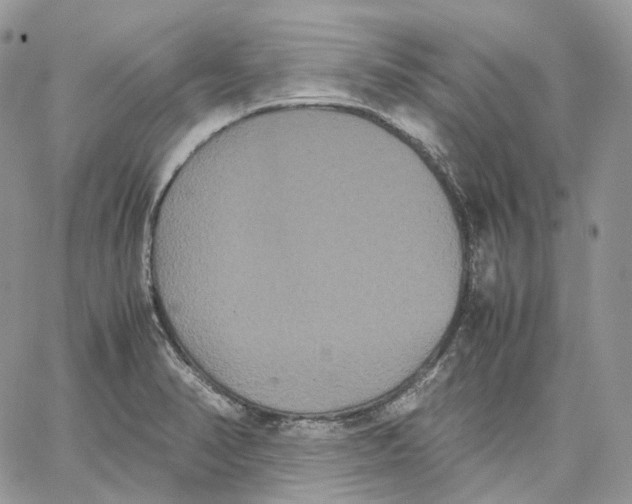 X0000062831374200602031526